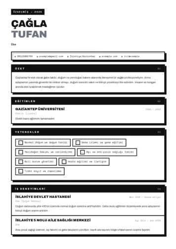 Ebe Cv Örnekleri cv indir